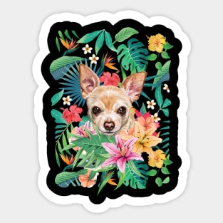 Tropical Short Haired Fawn Red Chihuahua Sticker
